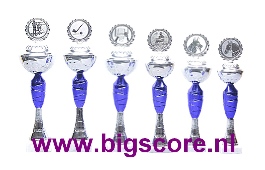 Z 649 Beker Blauw-Zilver 6 delig